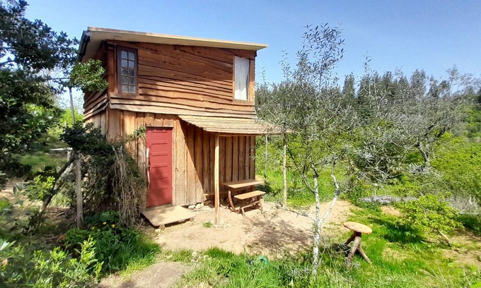 Moitas Cabin | Off-grid, romantic wooden cabin with library and cottage gardens