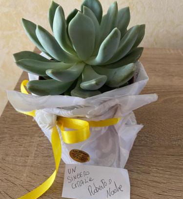 Condofuri Bed & Breakfast | Oikos