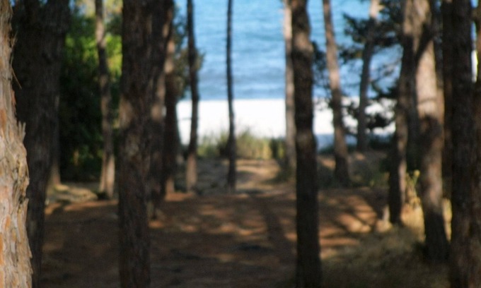 Cala Liberotto Apartment | OLEANDER DIRECT BEACH ACCESS (NO WIFI) CIN IT091063C2000S5144