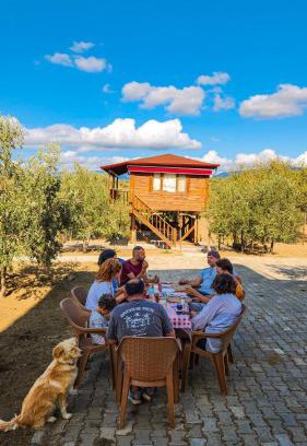Zeytinli Other | Oli Camping & Bungalows