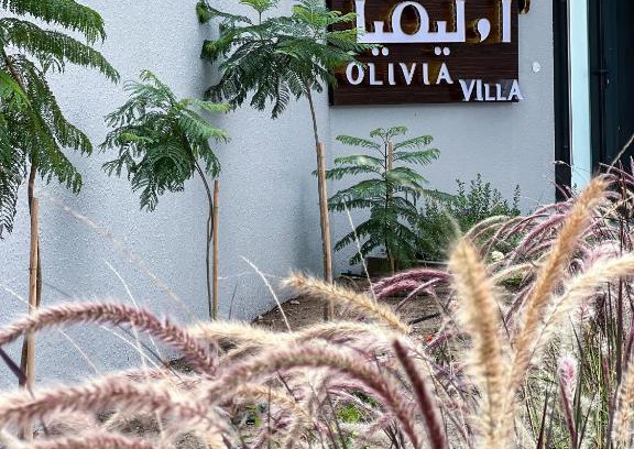 Sayq Ski Chalet | Olivia Chalet فلة أوليفيا