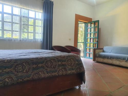 Amatlan House | Ollin Calli Hostal-Temazcal
