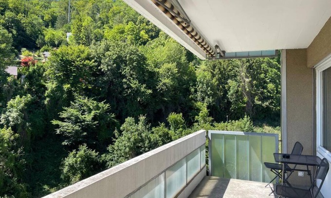 Trimbach Apartment | Olten with a View