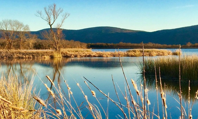 Tuskahoma Cabin | One of the Best You’ll Find! Peace & Quiet - Comfort & Charm;