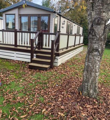 Ringwood Other | Orchid 3