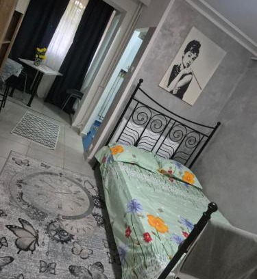 Iasi Apartment | Oreste81
