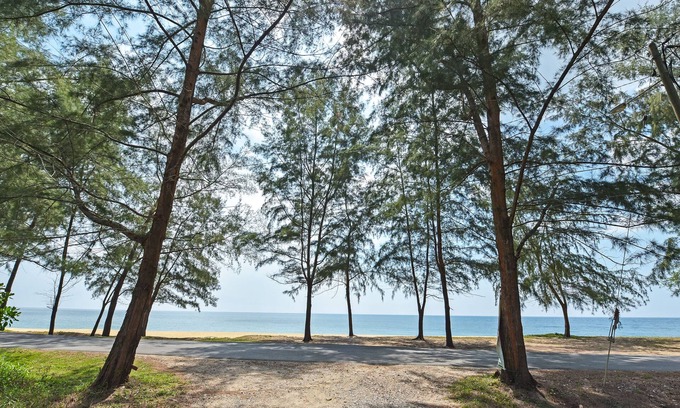 Dungun Hotel | Oyo 90596 Casaria Inn