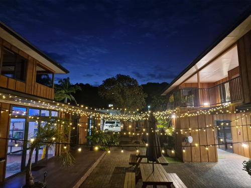 Paihia Hotel | Palm Tree Apartments & backpackers