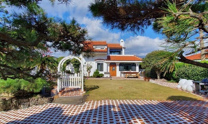 Seogwipo City House | Palm Tree Villa. 외돌개, 올레시장,천지연폭포 인접