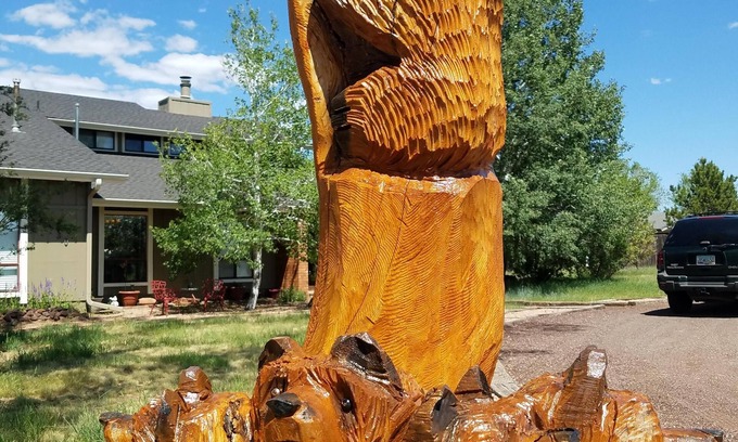 Flagstaff House | Panoramic Mountain Views - Spacious yet cozy Mtn living on acreage. 5 stars!
