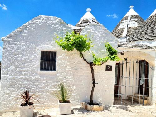 The Trulli of Alberobello House | Panoramic Terrace