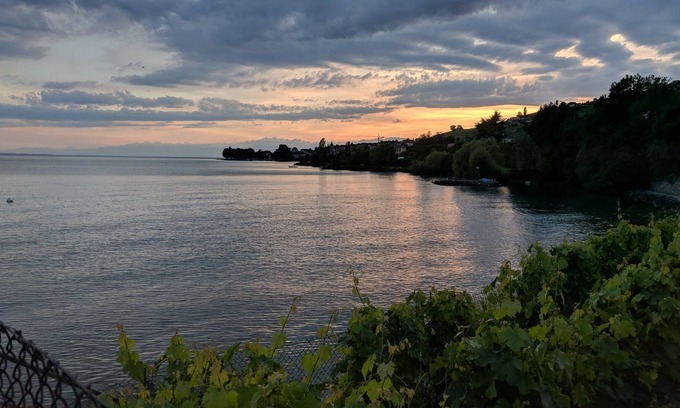 Bourg-en-Lavaux House | Panoramic views of the lake in the middle of the wine country