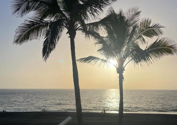 Puerto Naos Apartment | Paradise Beach