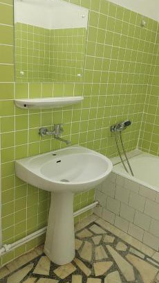 Satu Mare House | Park Place Home