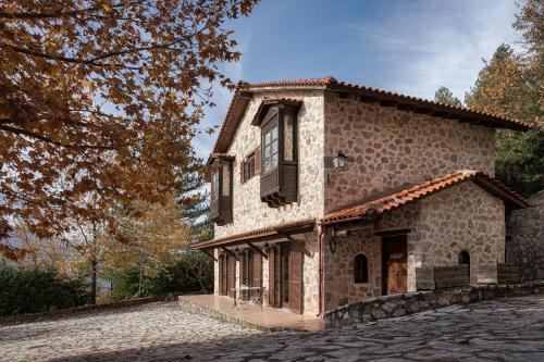 Amfikleia-Elateia Ski Chalet | Parnassus Woodstone Chalet