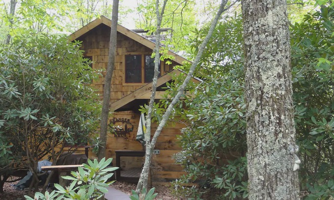 Beech Mountain Cabin | Paws and Relax! Fenced yard, level entry and HUGE deck