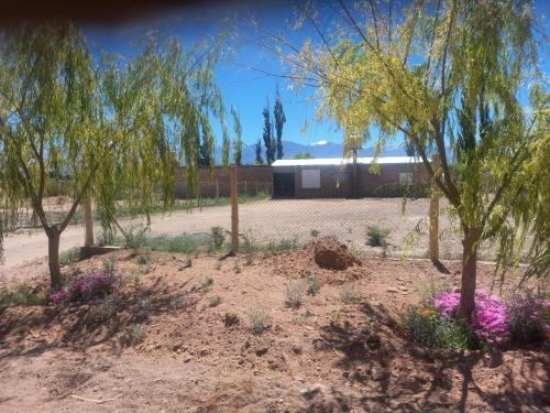 Barreal House | Paz cordillerana