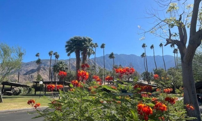 Palm Springs Apartment | Peaceful gateway condo #2
