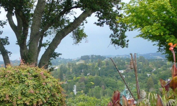 Orinda View Apartment | Peaceful, Quiet, Fully Furnished Studio. Mins to San Francisco, Berkeley, BART