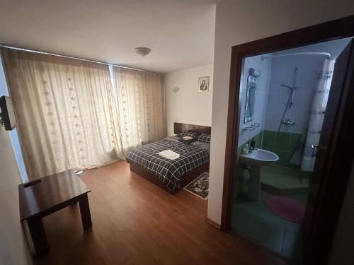 Craiova House | Pensiunea Artemis
