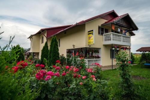 Tasnad House | Pensiunea elena