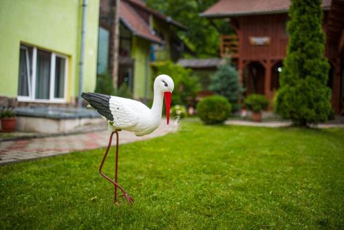 Gura Raului House | Pensiunea George