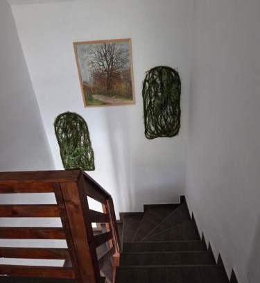 Suncuius House | Pensiunea Gradia Șuncuiuș