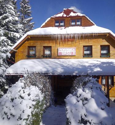 Borsa Villa | Pensiunea Ursu