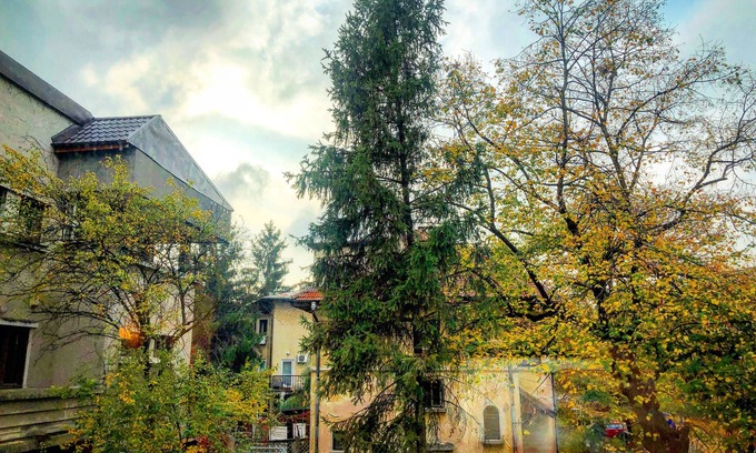 Cotroceni Hotel | Pergola Boutique Hotel