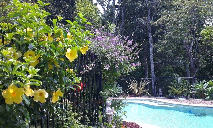 Kings Forest Apartment | Pet Friendly-Adults Only, Kingscliff, Tropical Coast Retreat, Hinterland Suite