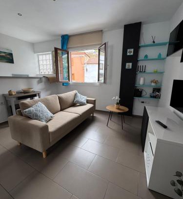 San Juan de la Rambla Apartment | Phoenix Canariensis