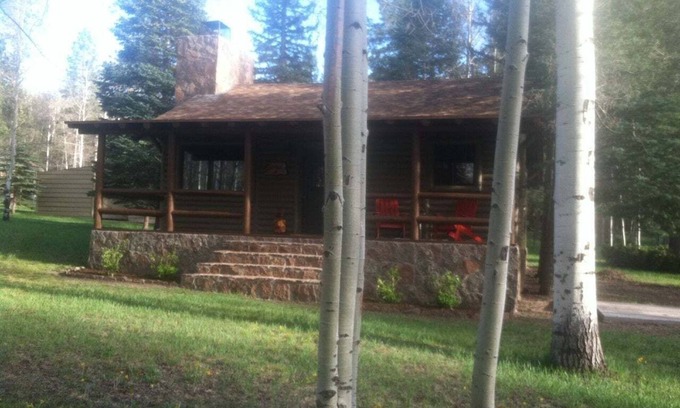 Alpine Cabin | Picturesque retreat inspired by Thomas Kinkade, situated on 1.5 acres!