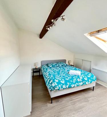 Sarrebourg Apartment | Pin's - Magnifique appartement