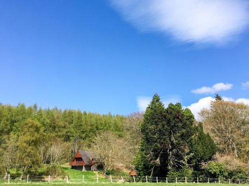 Fortrose House | Pine Lodge - Uk7049