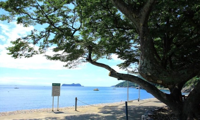 Namhae House | Pinky Marine Pension