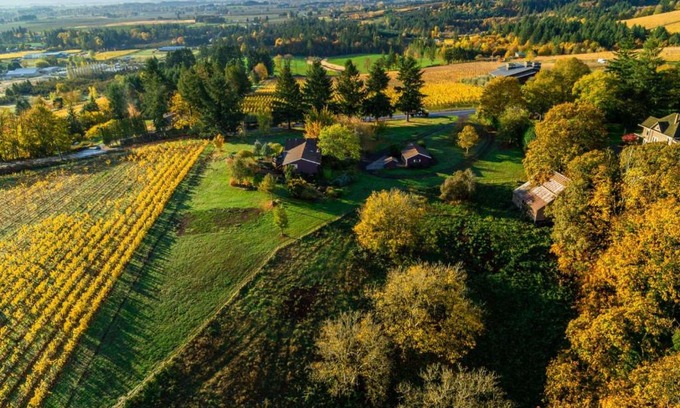 Dundee House | Pinot Vista