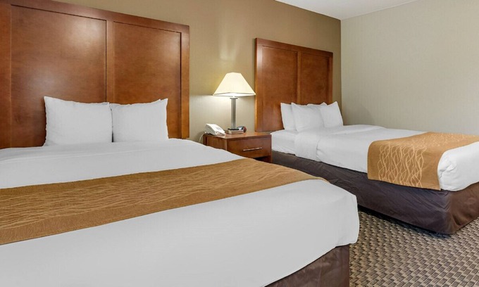Indianapolis House | Place of Serenity & Relaxation! Best for Groups