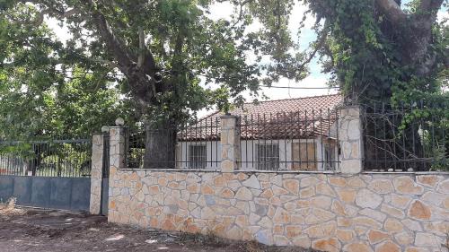 Ilida House | Plane Tree Cottage for Nature Lovers- Free RV & Campervan Parking