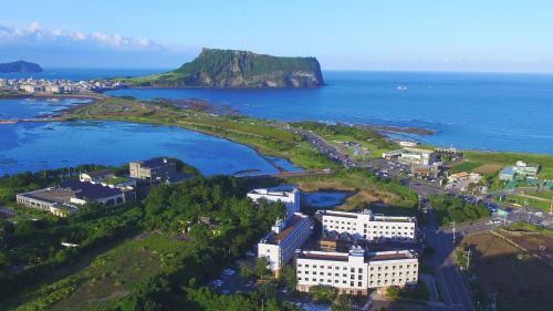 Seongsan Hotel | Playce Camp Jeju