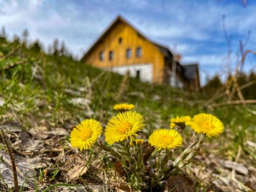 Smrzovka Apartment | Pod Špičákem
