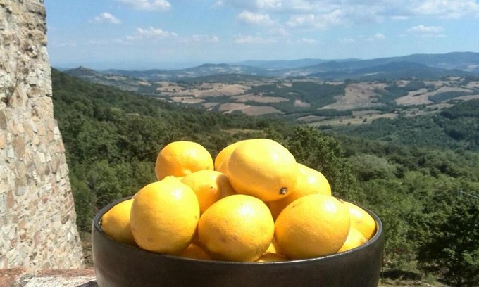 Castelnuovo di Val di Cecina Apartment | Podere Lama