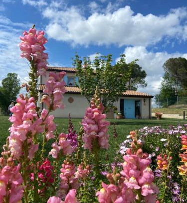 Monteleone Bed & Breakfast | Poderino - a place to feel