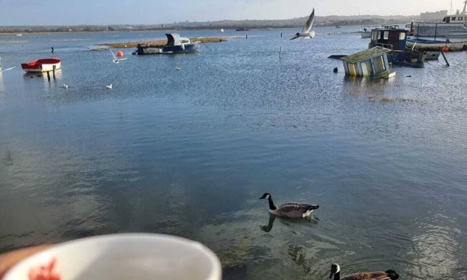 Poole House | Poole, Holes Bay Harbour Nature Reserve - 'Right' next to the water :-) Sleeps 3