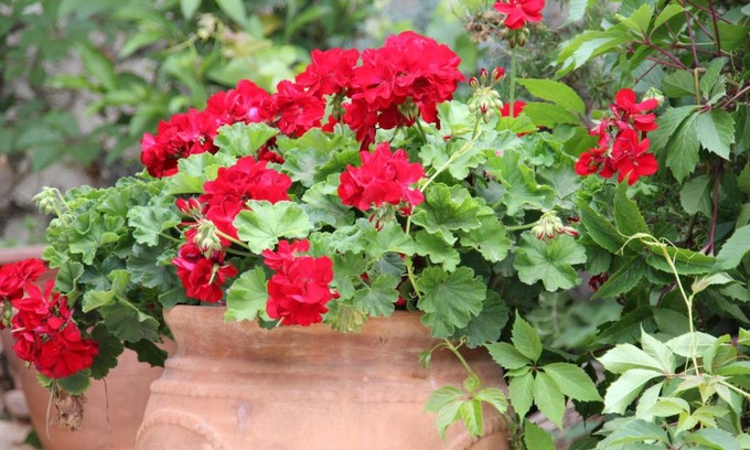 Athani House | Porto Katsiki Guest Houses