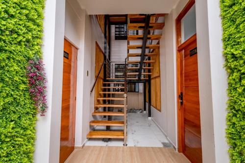 Tingo Maria Apartment | Posada El Alamo