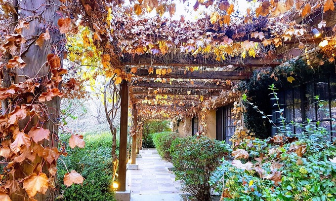 Los Arboles Hotel | Posada Salentein