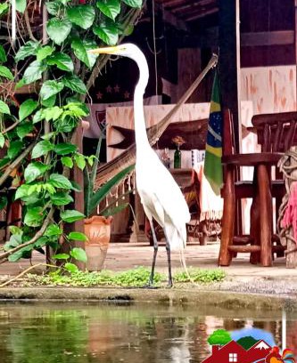 Penedo Ski Chalet | Pousada Chalé na Roça Penedo