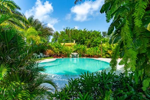 Itacimirim Hotel | Pousada Tropicarim
