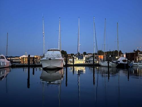 Herrenwyk Boat Rental | Premium Houseboat Blue Lagoon
