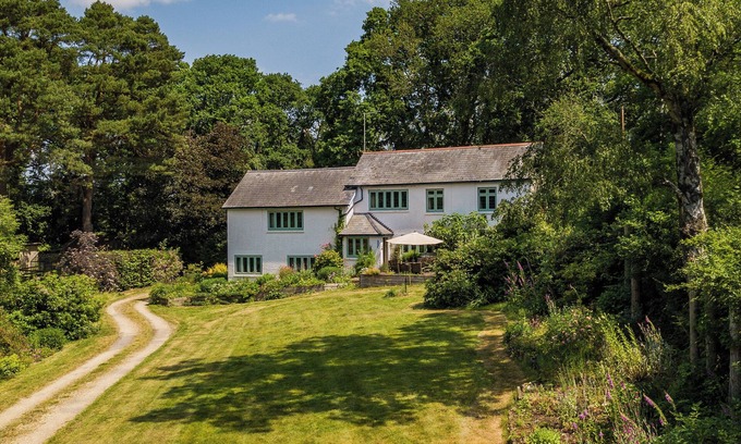 New Forest District Cottage | PRIMROSE SPINNEY, pet friendly, character holiday cottage in Ringwood